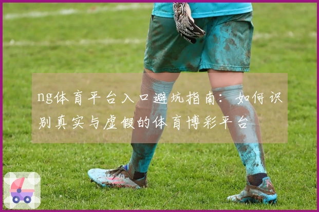 ng体育平台入口避坑指南：如何识别真实与虚假的体育博彩平台