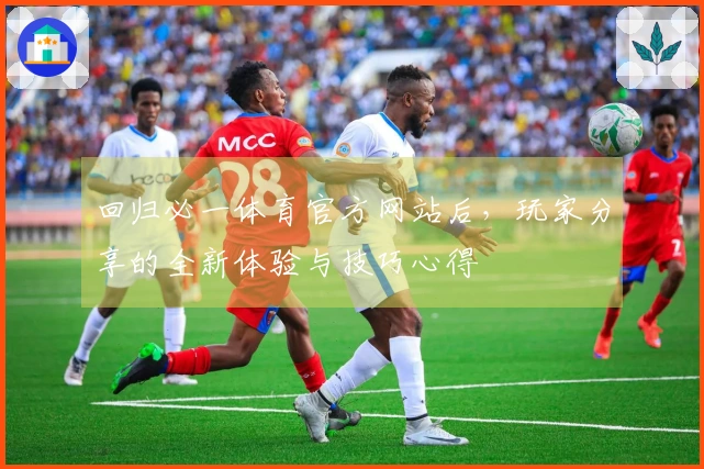 回归必一体育官方网站后，玩家分享的全新体验与技巧心得