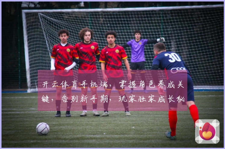 开云体育手机端，掌握角色养成关键，告别新手期，玩家独家成长秘籍不容错过